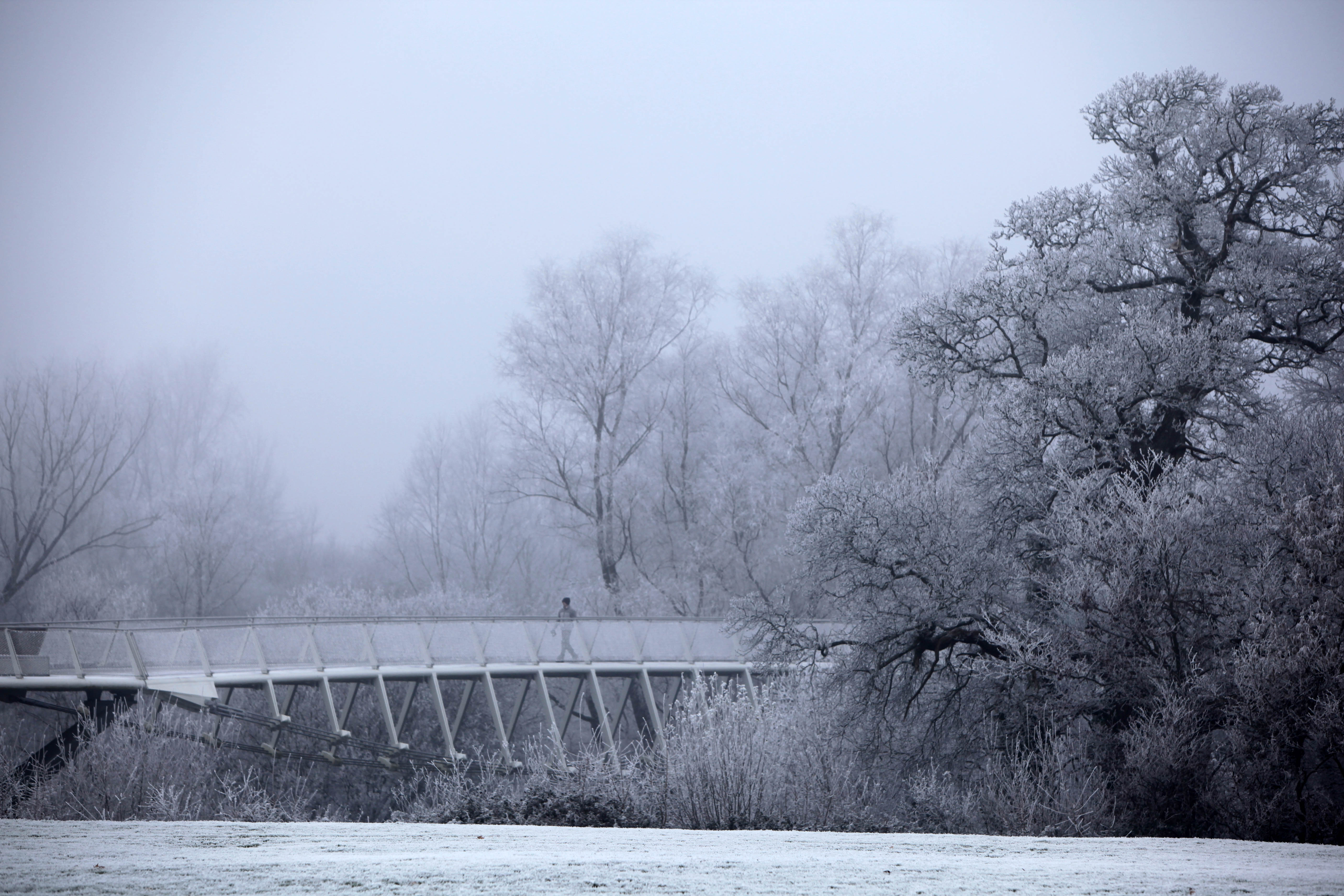 UL Frost