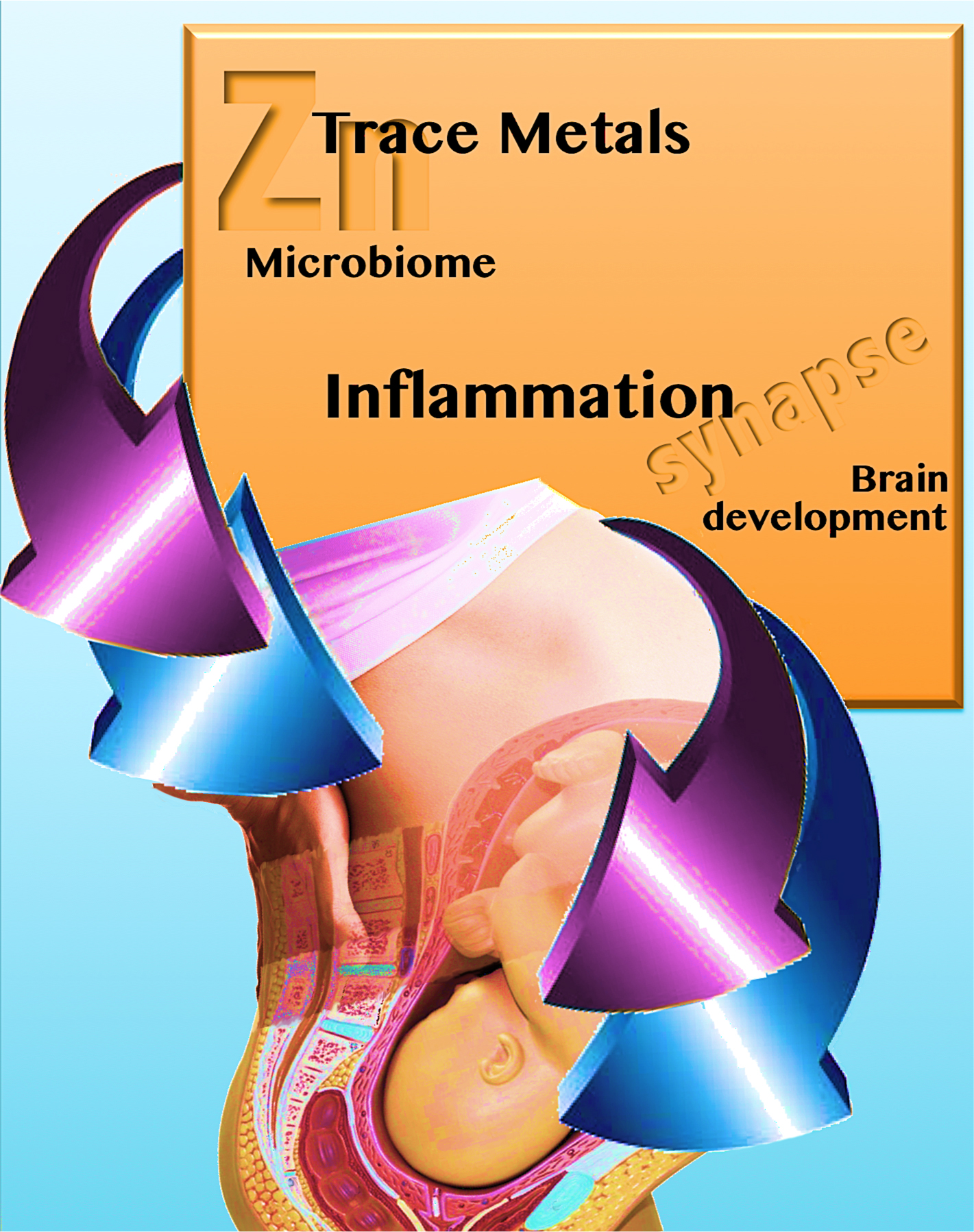 Understanding the role of zinc and zinc transporters in Autism